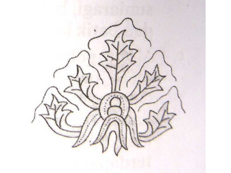 meru-5 tops-leaves inside